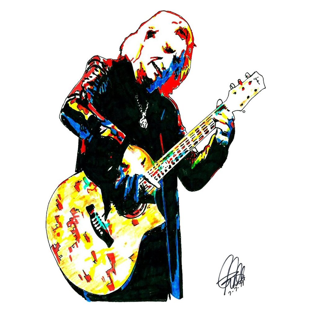 Joe Walsh James Gang Eagles Guitar Rock Music Poster Print Wall Art 18x24